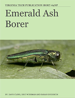 Cover, Emerald Ash Borer