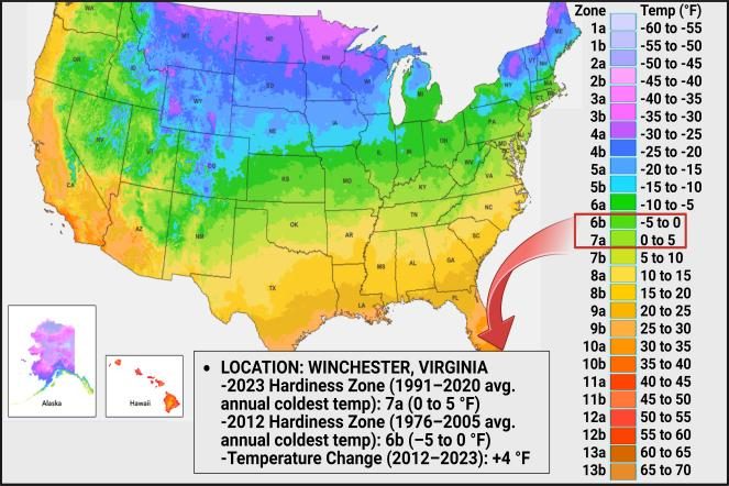  Color‑coded U.S. map highlights Winchester, VA, where the plant‑hardiness zone warmed from 6b (–5 to 0 °F) to 7a (0 to 5 °F) between 2012 and 2023—a +4 °F shift.