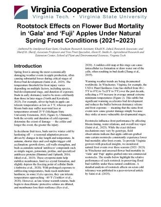 Cover page of the publication.
