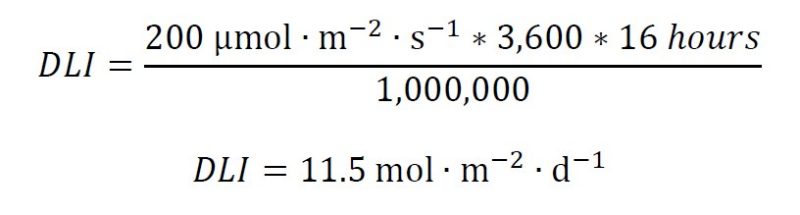 cap D cap L cap I. equals numerator , 200 , µmol bullet m to the , minus 2 end superscript bullet s to the , minus 1 end superscript asterisk operator 3,600 asterisk operator 16 , h o u r s end numerator , over 1,000,000. cap D cap L cap I. equals 11.5 , mol bullet m to the , minus 2 end superscript bullet d to the , minus 1 end superscript