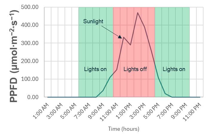 Example illustrating the use of supplemental lighting in the morning and evening when the ambient PPFD is low