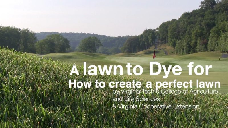 A Lawn to Dye For