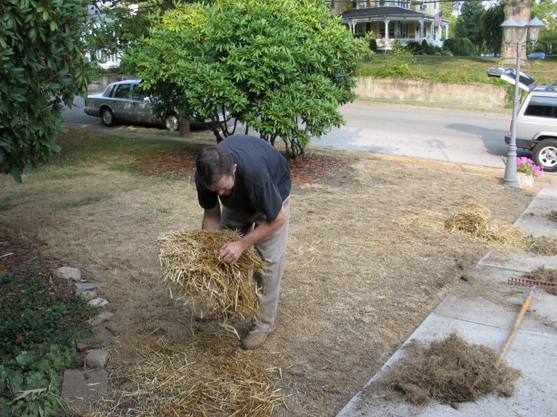 Man laying straw mulch over newly seeded lawn soil