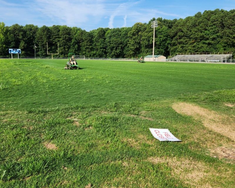 Newly-sprigged bermudagrass athletic field infested with weeds